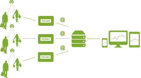 System internetowy